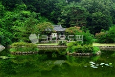 채화정, 배롱나무, 여름, 연못, 기와집, 사진,이미지,일러스트,캘리그라피 - Nepoto1작가 크라우드픽 - 저작권 걱정 없는 상업용 이미지