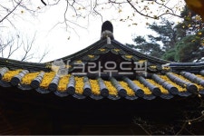roof, 지붕, 담양, 남면, 식영정, 사진,이미지,일러스트,캘리그라피 - 영산공작가 크라우드픽 - 저작권 걱정 없는 상업용 이미지