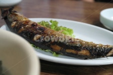 횟집, 기본안주, 생선구이, 꽁치, 기본반찬, 사진,이미지,일러스트,캘리그라피 - egg작가 크라우드픽 - 저작권 걱정 없는 상업용 이미지