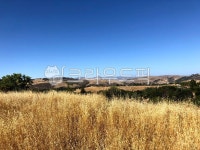 nature, 자연, outdoors, 옥외, field, 사진,이미지,일러스트,캘리그라피 - 사공오팬트리작가 크라우드픽 - 저작권 걱정 없는 상업용 이미지