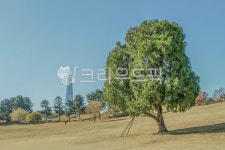 올림픽공원, 서울, 송파구, 방이동, 도시, 사진,이미지,일러스트,캘리그라피 - imlover작가 크라우드픽 - 저작권 걱정 없는 상업용 이미지