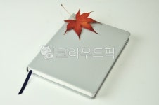 단풍, 단풍잎, 감성, 붉은색, 잎, 사진,이미지,일러스트,캘리그라피 - 깨비선생작가 크라우드픽 - 저작권 걱정 없는 상업용 이미지