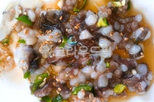food, 음식, 산낙지, 해물, 해산물, 사진,이미지,일러스트,캘리그라피 - 할수있어작가 크라우드픽 - 저작권 걱정 없는 상업용 이미지