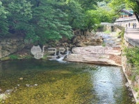 통도사, 개울가, water, 물, nature, 사진,이미지,일러스트,캘리그라피 - 소소한 행복작가 크라우드픽 - 저작권 걱정 없는 상업용 이미지