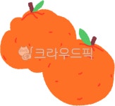 한라봉, 제주도일러스트, 제주도특산물, 한라봉일러스트, 과일일러스트, 사진,이미지,일러스트,캘리그라피 - 삼이작가 크라우드픽 - 저작권 걱정... 