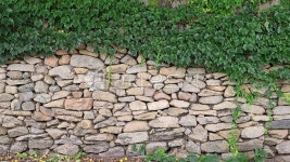 담장이, 돌담, 담장이돌담, 벽, 식물, 사진,이미지,일러스트,캘리그라피 - 골동품사랑작가 크라우드픽 - 저작권 걱정 없는 상업용 이미지