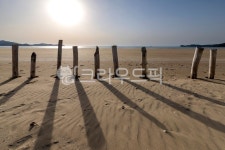 태안, 신두리, 해수욕장, 바다, 하늘, 사진,이미지,일러스트,캘리그라피 - 참 아름다우리라작가 크라우드픽 - 저작권 걱정 없는 상업용 이미지