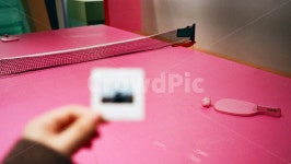 탁구, 필름, 핑크, 슬라이드필름, 탁구볼, 사진,이미지,일러스트,캘리그라피 - juicekeem작가 크라우드픽 - 저작권 걱정 없는 상업용 이미지