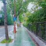버스, 버스정류장, 비온뒤, 나무, 비, 사진,이미지,일러스트,캘리그라피 - Nasas8380작가 크라우드픽 - 저작권 걱정 없는 상업용 이미지