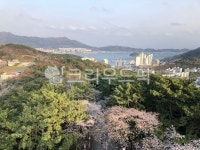제황산공원, 진해풍경, 진해경치, 도시풍경, 도시, 사진,이미지,일러스트,캘리그라피 - 아려닝작가 크라우드픽 - 저작권 걱정 없는 상업용 이미지