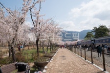 경화역, 공원, 보도, walkway, 길, 사진,이미지,일러스트,캘리그라피 - changbae7355작가 크라우드픽 - 저작권 걱정 없는 상업용 이미지