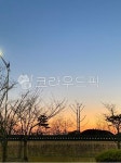 해질녘, 가로등, 나무, 노을, 돌담, 사진,이미지,일러스트,캘리그라피 - parkha0327작가 크라우드픽 - 저작권 걱정 없는 상업용 이미지