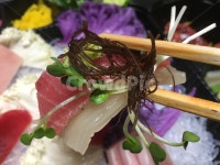 참치, 참치맛집, 참치뱃살, 무순, 와사비, 사진,이미지,일러스트,캘리그라피 - 푸른버들작가 크라우드픽 - 저작권 걱정 없는 상업용 이미지