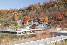 서울, 공원, 번동, 북서울꿈의숲, 단풍, 사진,이미지,일러스트,캘리그라피 - imlover작가 크라우드픽 - 저작권 걱정 없는 상업용 이미지
