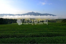 farm, 농장, rural, 시골, nature, 사진,이미지,일러스트,캘리그라피 - 영산공작가 크라우드픽 - 저작권 걱정 없는 상업용 이미지