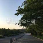 과천, 거리, 나무, 도로, 아스팔트, 사진,이미지,일러스트,캘리그라피 - Nmasabae93작가 크라우드픽 - 저작권 걱정 없는 상업용 이미지
