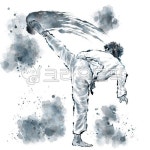 태권도, 격투, 격투기, 마샬아츠, 무술, 사진,이미지,일러스트,캘리그라피 - 노을원이작가 크라우드픽 - 저작권 걱정 없는 상업용 이미지