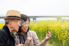 영상통화, 중년, 부부, 소통, 노년, 사진,이미지,일러스트,캘리그라피 - 아푸아아작가 크라우드픽 - 저작권 걱정 없는 상업용 이미지