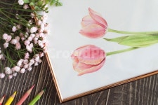 튤립그림, 색연필화, 색연필화그림, 꽃그림, 튤립, 사진,이미지,일러스트,캘리그라피 - 감자투어작가 크라우드픽 - 저작권 걱정 없는 상업용 이미지