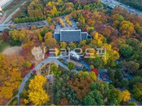 양재, 양재시민의숲, 매헌시민의숲, 가을, 단풍, 사진,이미지,일러스트,캘리그라피 - moonview작가 크라우드픽 - 저작권 걱정 없는 상업용 이미지