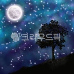 자연, night, 밤, fullmoon, 달, 사진,이미지,일러스트,캘리그라피 - mauve51작가 크라우드픽 - 저작권 걱정 없는 상업용 이미지