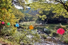 마곡사, 마곡천, 공주, 태화산, 개천, 사진,이미지,일러스트,캘리그라피 - Deep bLUE작가 크라우드픽 - 저작권 걱정 없는 상업용 이미지