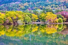 단풍, 반영, 단풍나무, 저수지, 가을, 사진,이미지,일러스트,캘리그라피 - 라파엘작가 크라우드픽 - 저작권 걱정 없는 상업용 이미지