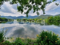 자연, 연못, 호수, 하늘, 여름, 사진,이미지,일러스트,캘리그라피 - ahdwns01작가 크라우드픽 - 저작권 걱정 없는 상업용 이미지