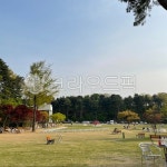 자연, 공원, 휴식, 힐링, 감성, 사진,이미지,일러스트,캘리그라피 - 모모무무작가 크라우드픽 - 저작권 걱정 없는 상업용 이미지