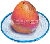 감, 대봉감, 가을과일, 오일파스텔그림, persimmon, 사진,이미지,일러스트,캘리그라피 - mincell작가 크라우드픽 - 저작권 걱정 없는 상업용... 