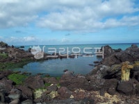 제주도, jeju, 바다, beach, 여름, 사진,이미지,일러스트,캘리그라피 - 빵의초성은삐읍작가 크라우드픽 - 저작권 걱정 없는 상업용 이미지