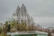 서울, 광진구, 능동, 공원, 테마파크, 사진,이미지,일러스트,캘리그라피 - imlover작가 크라우드픽 - 저작권 걱정 없는 상업용 이미지