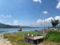 배, 두물머리, 연잎, 강, 나루터, 사진,이미지,일러스트,캘리그라피 - isu작가 크라우드픽 - 저작권 걱정 없는 상업용 이미지