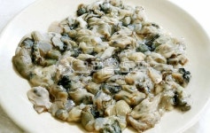 굴, 자연산굴, 해물, 생굴, 해산물, 사진,이미지,일러스트,캘리그라피 - Npjh8456작가 크라우드픽 - 저작권 걱정 없는 상업용 이미지