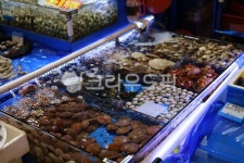 회, 수산시장, 노량진수산시장, 노량진, 조개, 사진,이미지,일러스트,캘리그라피 - 산타고라니작가 크라우드픽 - 저작권 걱정 없는 상업용 이미지