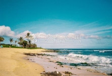summer, 여름, sea, 바다, 자연, 사진,이미지,일러스트,캘리그라피 - Nghh96작가 크라우드픽 - 저작권 걱정 없는 상업용 이미지