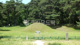 경주탈해왕릉, 사적제174호, 경북, 경주, 신라, 사진,이미지,일러스트,캘리그라피 - 행복신작가 크라우드픽 - 저작권 걱정 없는 상업용 이미지