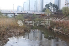 다리, 가을, 수변공원, 감성, 자연, 사진,이미지,일러스트,캘리그라피 - 헝그리작가작가 크라우드픽 - 저작권 걱정 없는 상업용 이미지