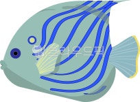 바다, 바다생물, 해양생물, 바다속, 해양생물그림, 사진,이미지,일러스트,캘리그라피 - 희희작가 크라우드픽 - 저작권 걱정 없는 상업용 이미지