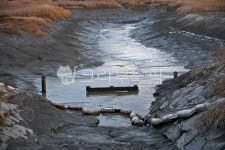 수로, 갯골, 함초, 소래염전, 소래생태공원, 사진,이미지,일러스트,캘리그라피 - Deep bLUE작가 크라우드픽 - 저작권 걱정 없는 상업용 이미지