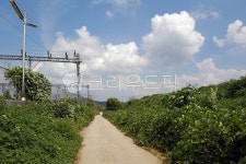 전원, 구름, 자연, 농로, 풍경, 사진,이미지,일러스트,캘리그라피 - Deep bLUE작가 크라우드픽 - 저작권 걱정 없는 상업용 이미지