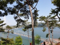 outdoors, 옥외, tree, 나무, plant, 사진,이미지,일러스트,캘리그라피 - 솔향기작가 크라우드픽 - 저작권 걱정 없는 상업용 이미지