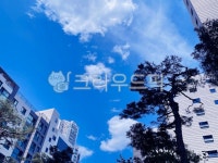 하늘, 가을하늘, 맑은하늘, 아파트, 푸른하늘, 사진,이미지,일러스트,캘리그라피 - 엄짱작가 크라우드픽 - 저작권 걱정 없는 상업용 이미지