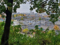 plant, 식물, 한옥, hanok, 한옥마을, 사진,이미지,일러스트,캘리그라피 - 영혼탈출작가 크라우드픽 - 저작권 걱정 없는 상업용 이미지