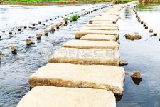 징검다리, 돌, 식물, 물, 하천, 사진,이미지,일러스트,캘리그라피 - 장구작가 크라우드픽 - 저작권 걱정 없는 상업용 이미지