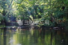 봄, green, 선운사, 도솔천, 녹음, 사진,이미지,일러스트,캘리그라피 - 에레스뚜작가 크라우드픽 - 저작권 걱정 없는 상업용 이미지