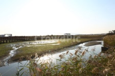 nature, 자연, 잔디, water, 다대포, 사진,이미지,일러스트,캘리그라피 - 용기시작가 크라우드픽 - 저작권 걱정 없는 상업용 이미지