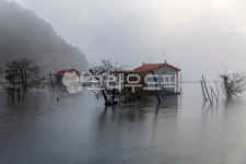 nature, 자연, 안개, fog, 저수지, 사진,이미지,일러스트,캘리그라피 - ygm1472작가 크라우드픽 - 저작권 걱정 없는 상업용 이미지