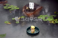 연못, pond, 온천, hotspring, 벳부, 사진,이미지,일러스트,캘리그라피 - raykim72작가 크라우드픽 - 저작권 걱정 없는 상업용 이미지