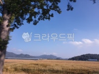 시골, 풍경, 농로, 가을느낌, 한국자연풍경, 사진,이미지,일러스트,캘리그라피 - 별똥마마작가 크라우드픽 - 저작권 걱정 없는 상업용 이미지